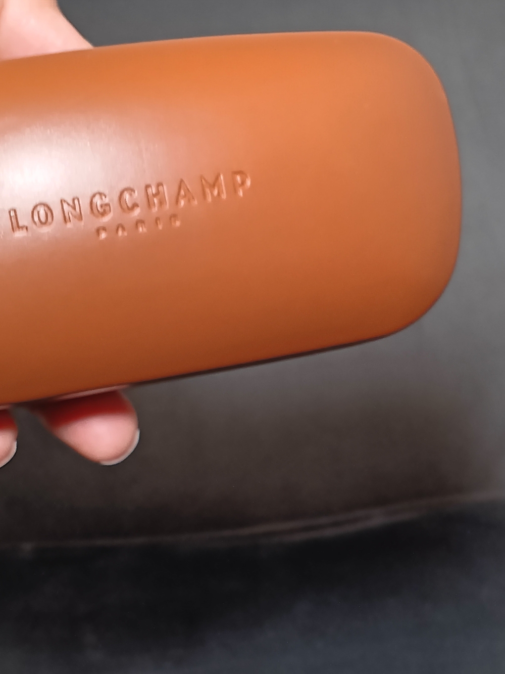 Longchamp Tan Sunglasses Case